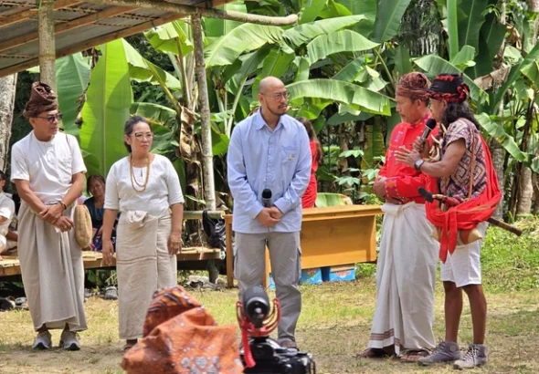 sanksi-adat-toraja-pandji-didenda-5-ayam-1-babi