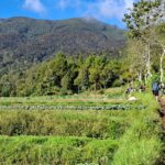 pendakian-gunung-gede-dibuka-lagi-dengan-rfid