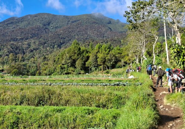 pendakian-gunung-gede-dibuka-lagi-dengan-rfid