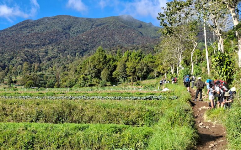 pendakian-gunung-gede-dibuka-lagi-dengan-rfid