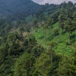 mahasiswa-itb-hilang-di-gunung-puntang-ditemukan