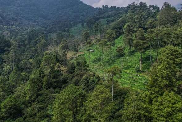 mahasiswa-itb-hilang-di-gunung-puntang-ditemukan