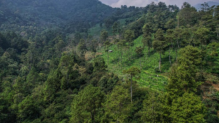 mahasiswa-itb-hilang-di-gunung-puntang-ditemukan