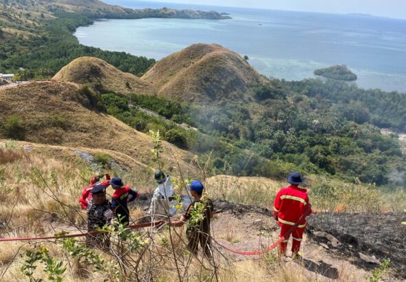 bukit-silvia-labuan-bajo-terbakar-diduga-akibat-puntung-rokok