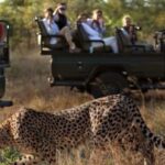 taman-nasional-kruger-perketat-keamanan-usai-insiden