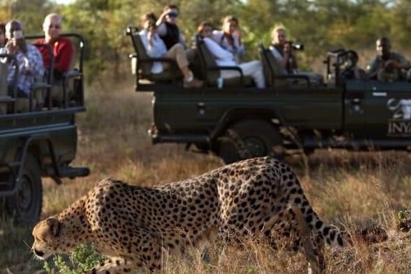 taman-nasional-kruger-perketat-keamanan-usai-insiden