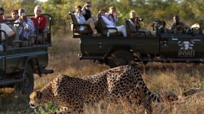 taman-nasional-kruger-perketat-keamanan-usai-insiden