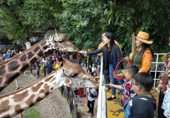 kebun-binatang-surabaya-tegaskan-satwa-kini-sehat
