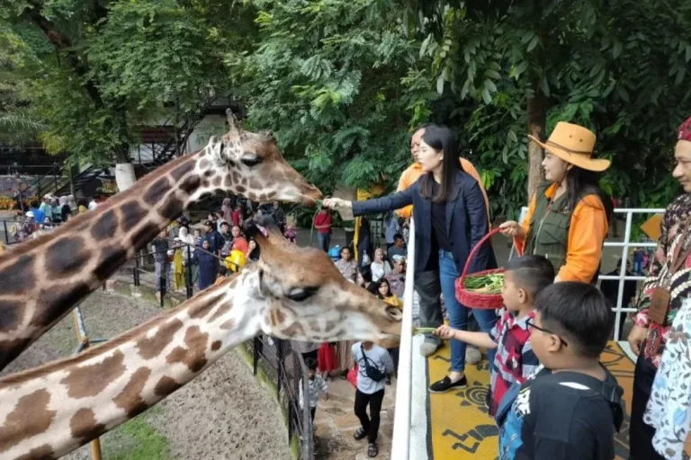 kebun-binatang-surabaya-tegaskan-satwa-kini-sehat