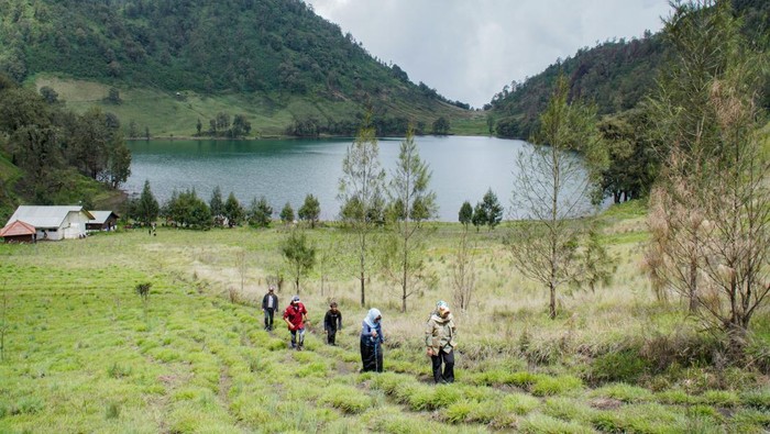 pendakian-gunung-semeru-ditutup-12-hari-selama-hari-raya-karo