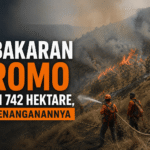 kebakaran-bromo-capai-742-hektare-ini-penanganannya