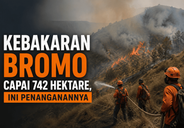 kebakaran-bromo-capai-742-hektare-ini-penanganannya