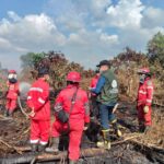 kebakaran-hutan-kalbar-46-orang-utan-diselamatkan