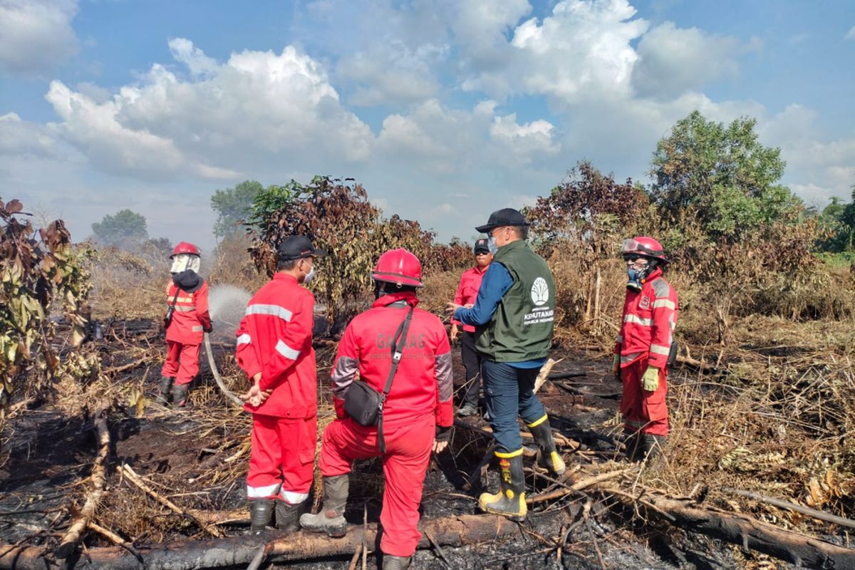 kebakaran-hutan-kalbar-46-orang-utan-diselamatkan